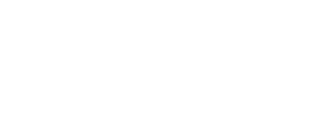 MSN logo